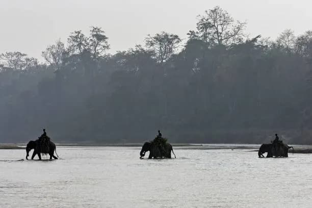 Chitwan Wildlife Run